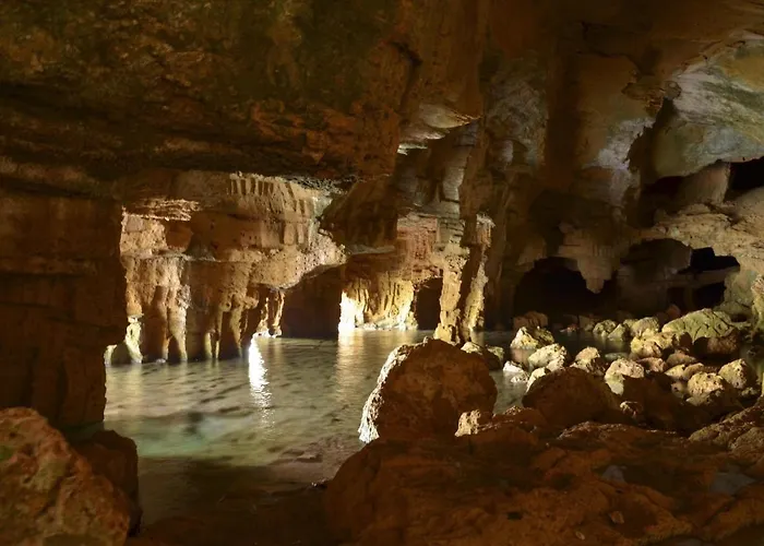 156 Bonamar - Deniasol * 德尼亚